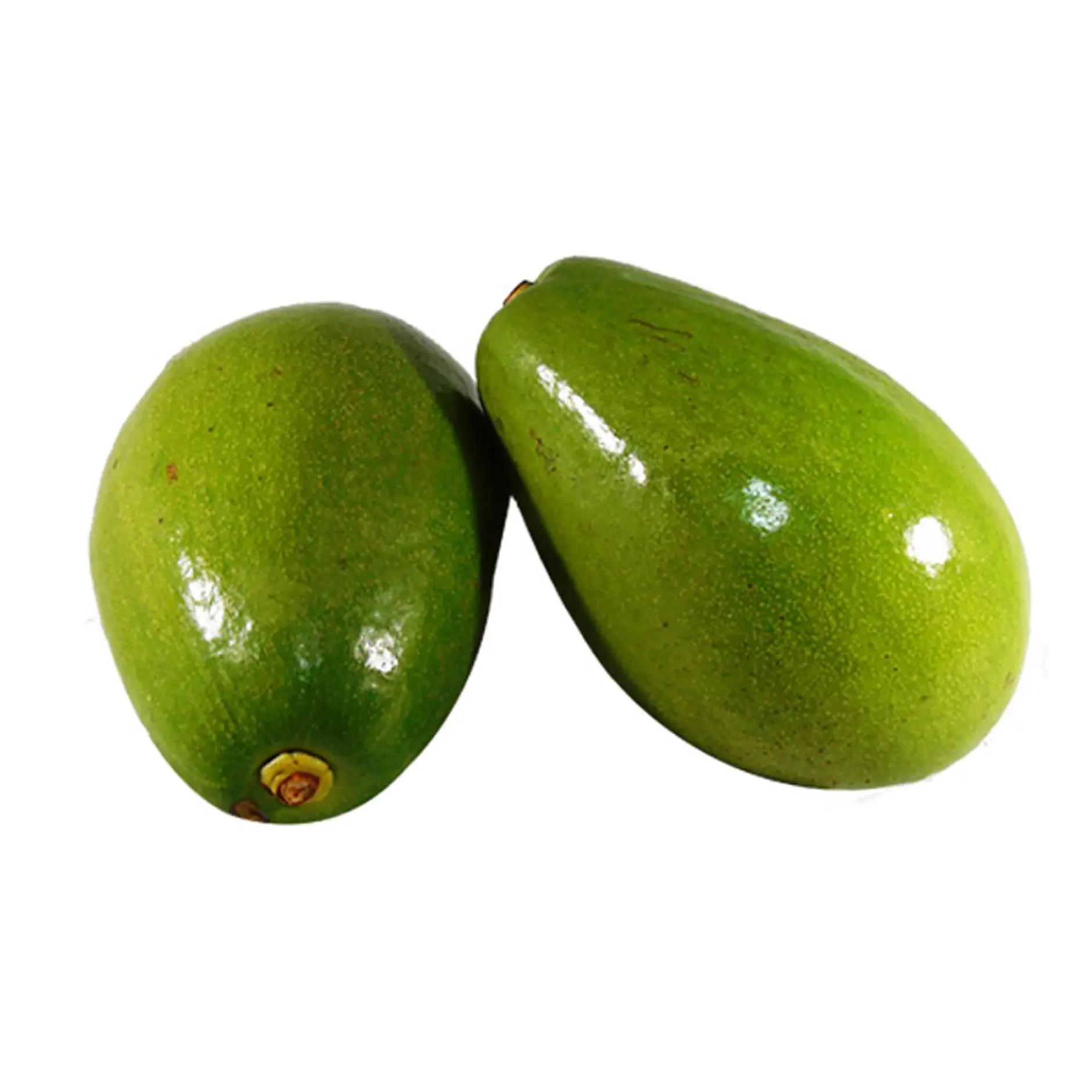 Aguacate papelillo