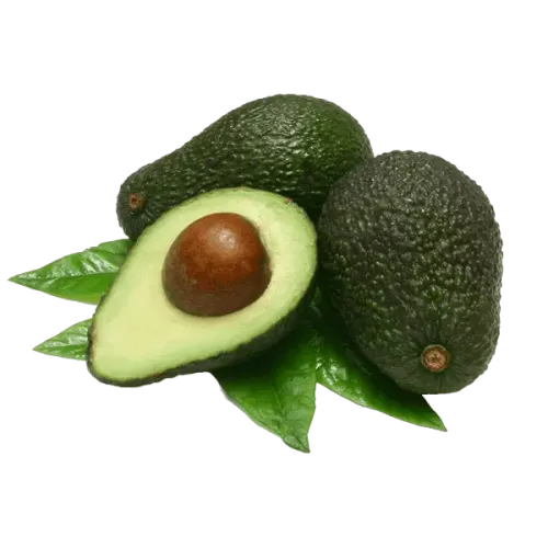 Aguacate Hass